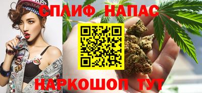 стафф Малоярославец