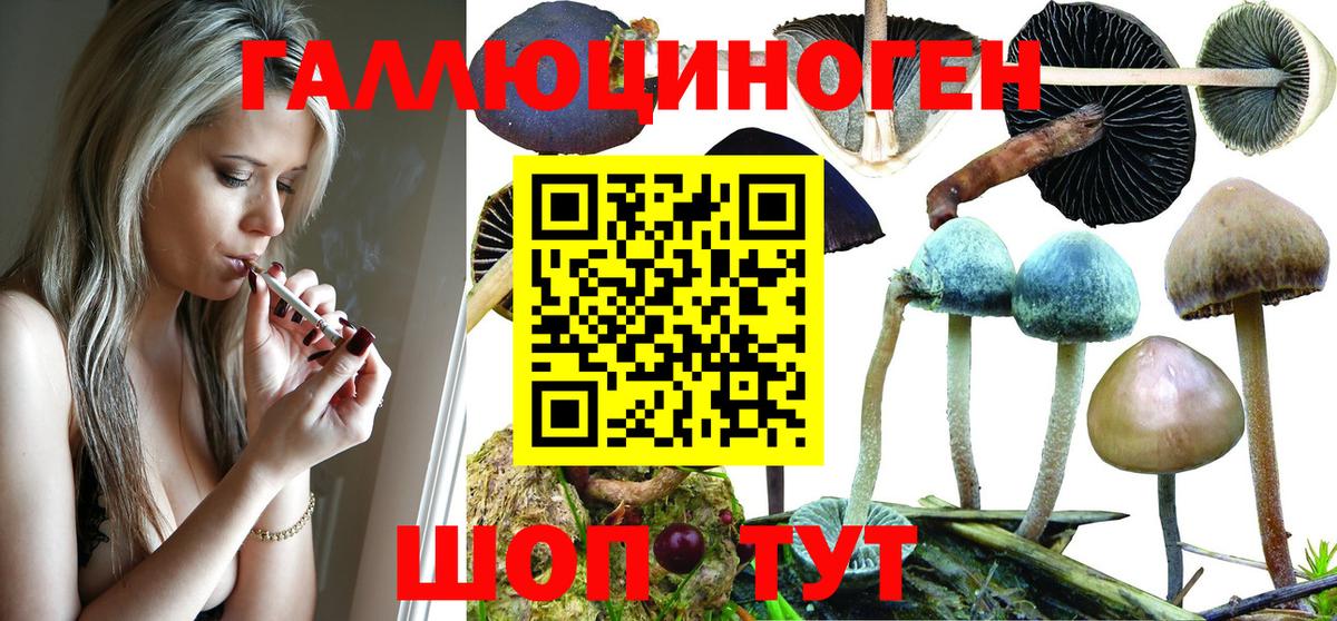 Галлюциногенные грибы MAGIC MUSHROOMS  Вход с VPN  наркотики  Железноводск 